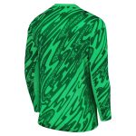 maillot gardien domicile psg nike 2425 avec impression personnalisee Série | Maillots et Vêtements PSG Exclusifs sur PSG Shop