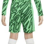 short gardien domicile psg nike 2425 – enfant Série | Maillots et Vêtements PSG Exclusifs sur PSG Shop